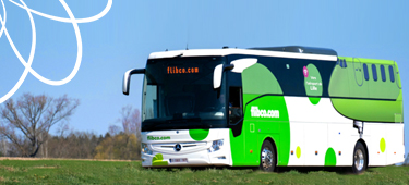 Flibco